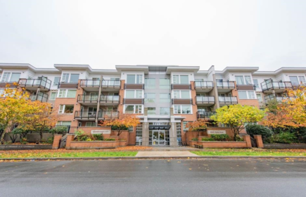 227 9500 Odlin Road, Richmond, BC, Richmond — Apartment/Condo for sale