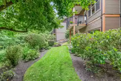 Aerial View of 40 24185 106b Avenue, Maple Ridge, BC