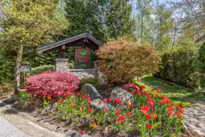 Street View Photo of 40 24185 106b Avenue, Maple Ridge, BC