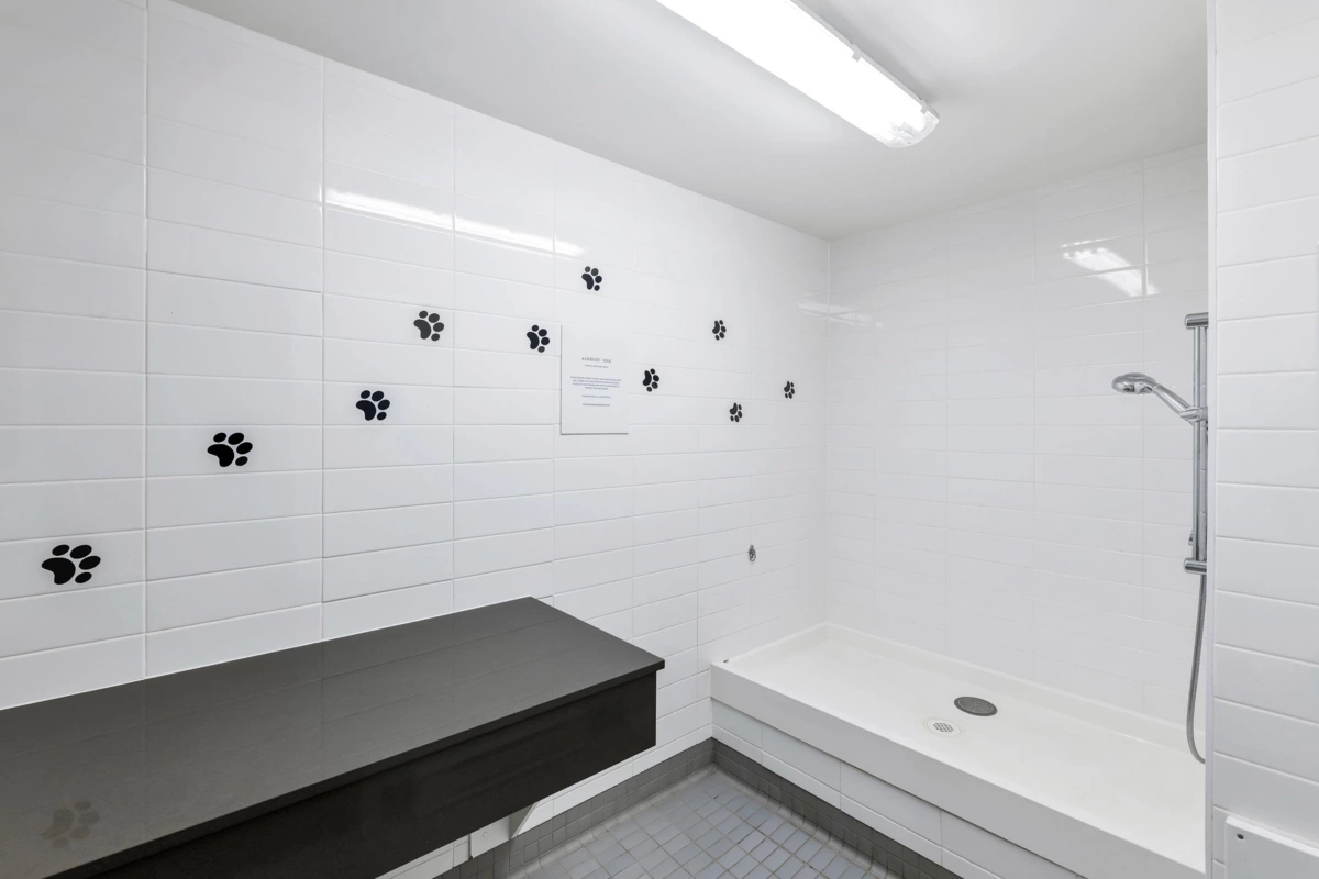 Fitness Center Photo Near 135 8138 204 Street, Langley, BC