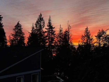Backyard Photo of 8362 Redrooffs Road, Halfmoon Bay, BC