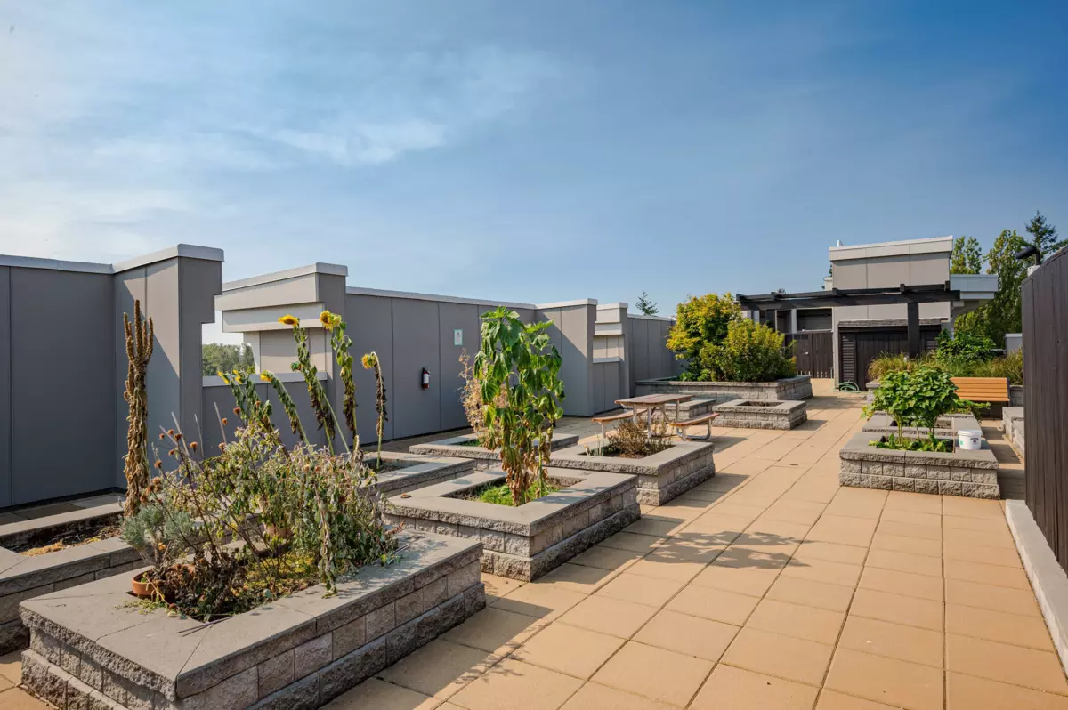 Backyard Photo of 409 20826 72 Avenue, Langley, BC