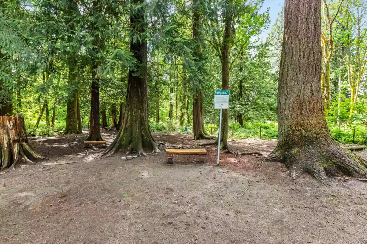 Entry Foyer Photo of 19 12227 Skillen Street, Maple Ridge, BC