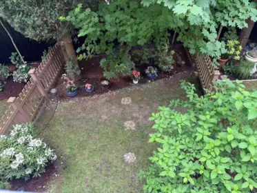 Aerial View of 33 20460 66 Avenue, Langley, BC