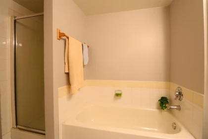 Powder Room Photo of 206 1199 Westwood Street, Coquitlam, BC
