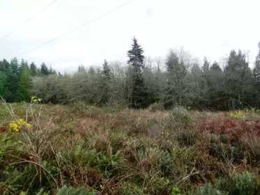 Block 1 Hauka Road, Langdale, BC, Langdale — Land for sale