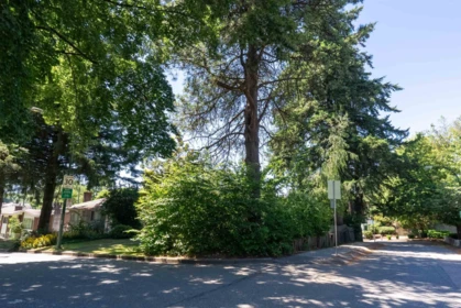 Outdoor Patio Photo of 4507 Todd Street, Vancouver, BC