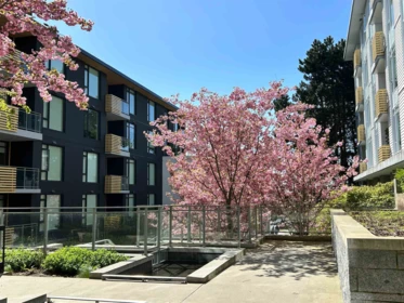 609 7428 Alberta Street, Vancouver, BC, Vancouver — Apartment/Condo for sale