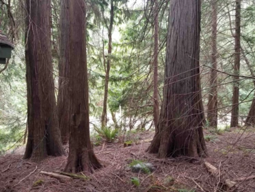LOT 16 St. Andrews Crescent, Galiano Island, BC, Galiano Island — Land for sale