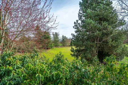 Office / Den Photo of 32958 Harwood Place, Abbotsford, BC