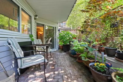Garden / Landscaping Photo of 106 1147 Nelson Street, Vancouver, BC