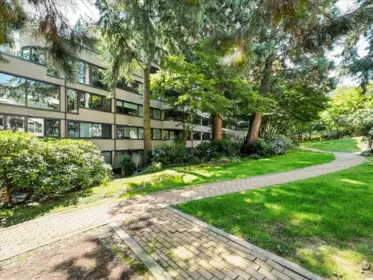 Aerial View of 43 1425 Lamey's Mill Road, Vancouver, BC