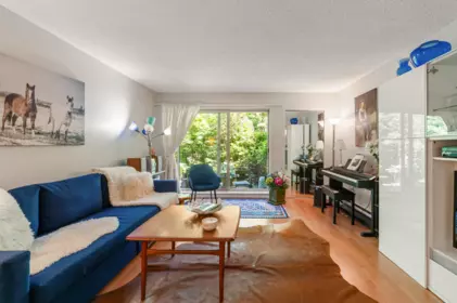 215 4373 Halifax Street, Burnaby, BC, Burnaby — Apartment/Condo for sale