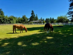25177 64 Avenue, Langley, BC