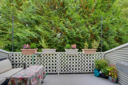 Powder Room Photo of 72 6450 199 Street, Langley, BC