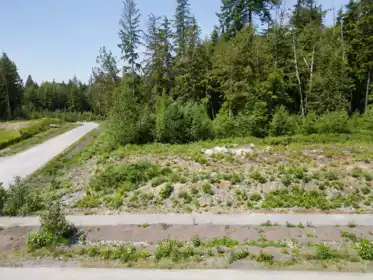 12475 271 Street, Maple Ridge, BC, Maple Ridge — Land for sale