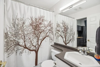 Basement Recreation Room Photo of 208 3176 Plateau Boulevard, Coquitlam, BC