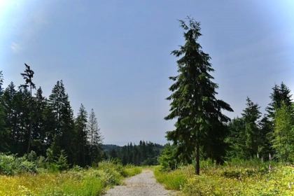 1491 Reed Road, Gibsons, BC, Gibsons — Land for sale