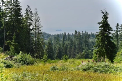 1491 Reed Road, Gibsons, BC, Gibsons & Area —  bed land for sale