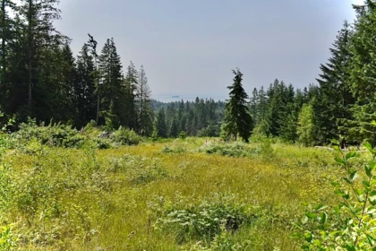 1491 Reed Road, Gibsons, BC, Gibsons — Land for sale