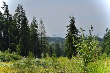 1491 Reed Road, Gibsons, BC, Gibsons — Land for sale
