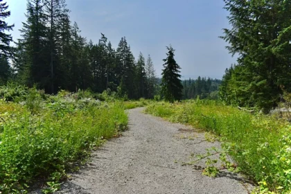 1491 Reed Road, Gibsons, BC, Gibsons — Land for sale