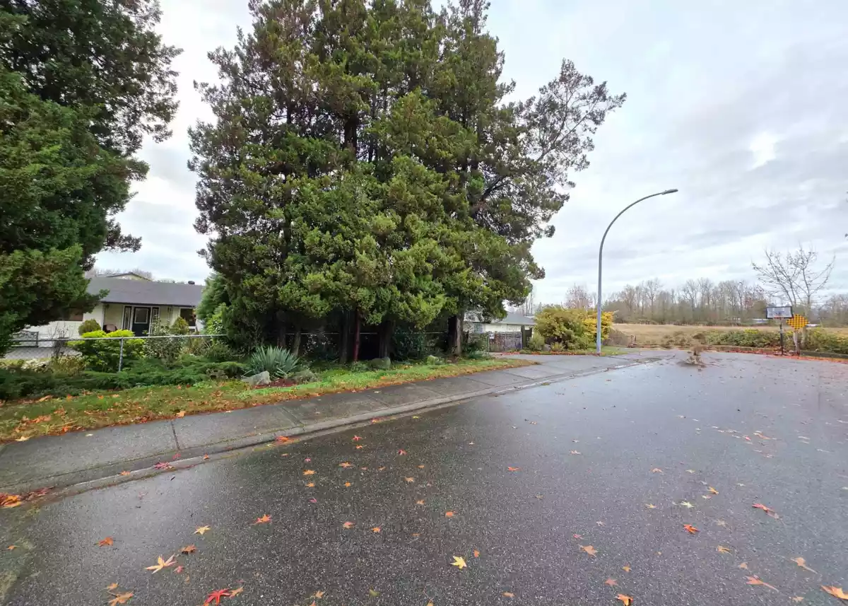 Aerial View of 3319 275 Street, Langley, BC