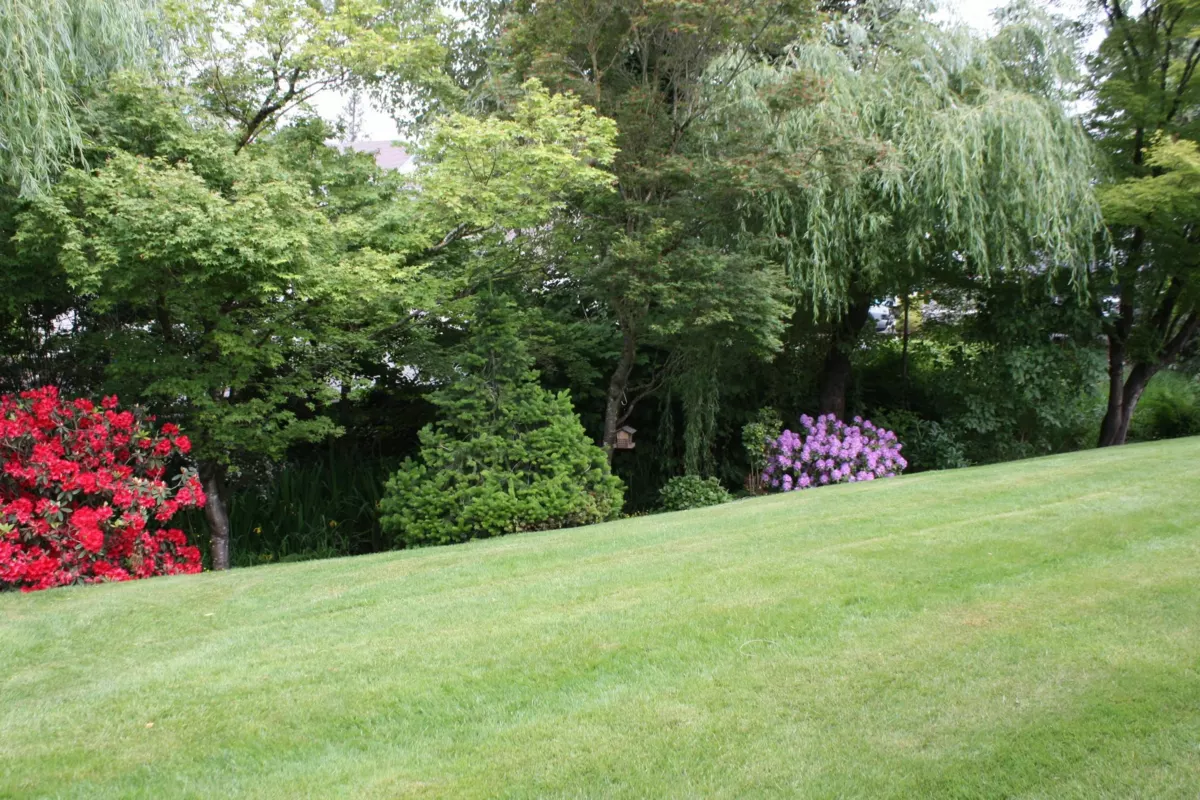 Garage Interior Photo of 31 45175 Wells Road, Chilliwack, BC