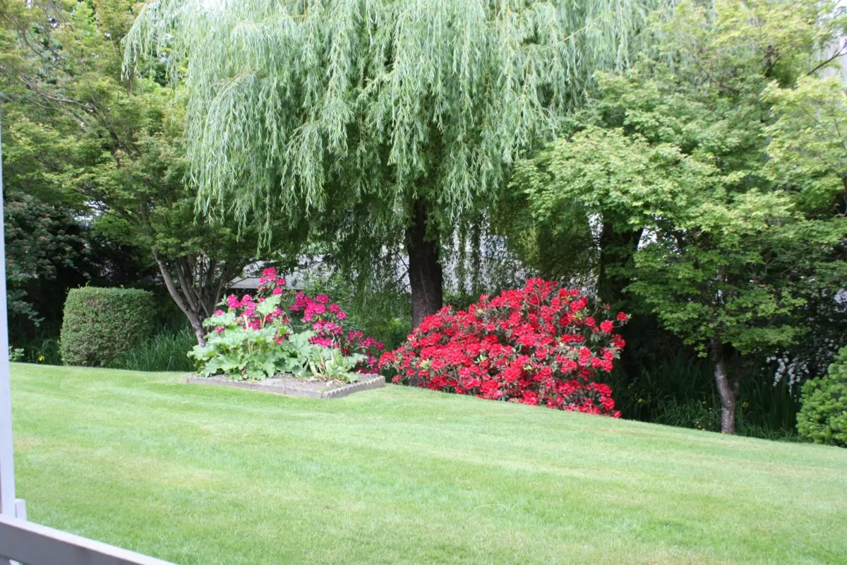 Outdoor Deck Photo of 31 45175 Wells Road, Chilliwack, BC