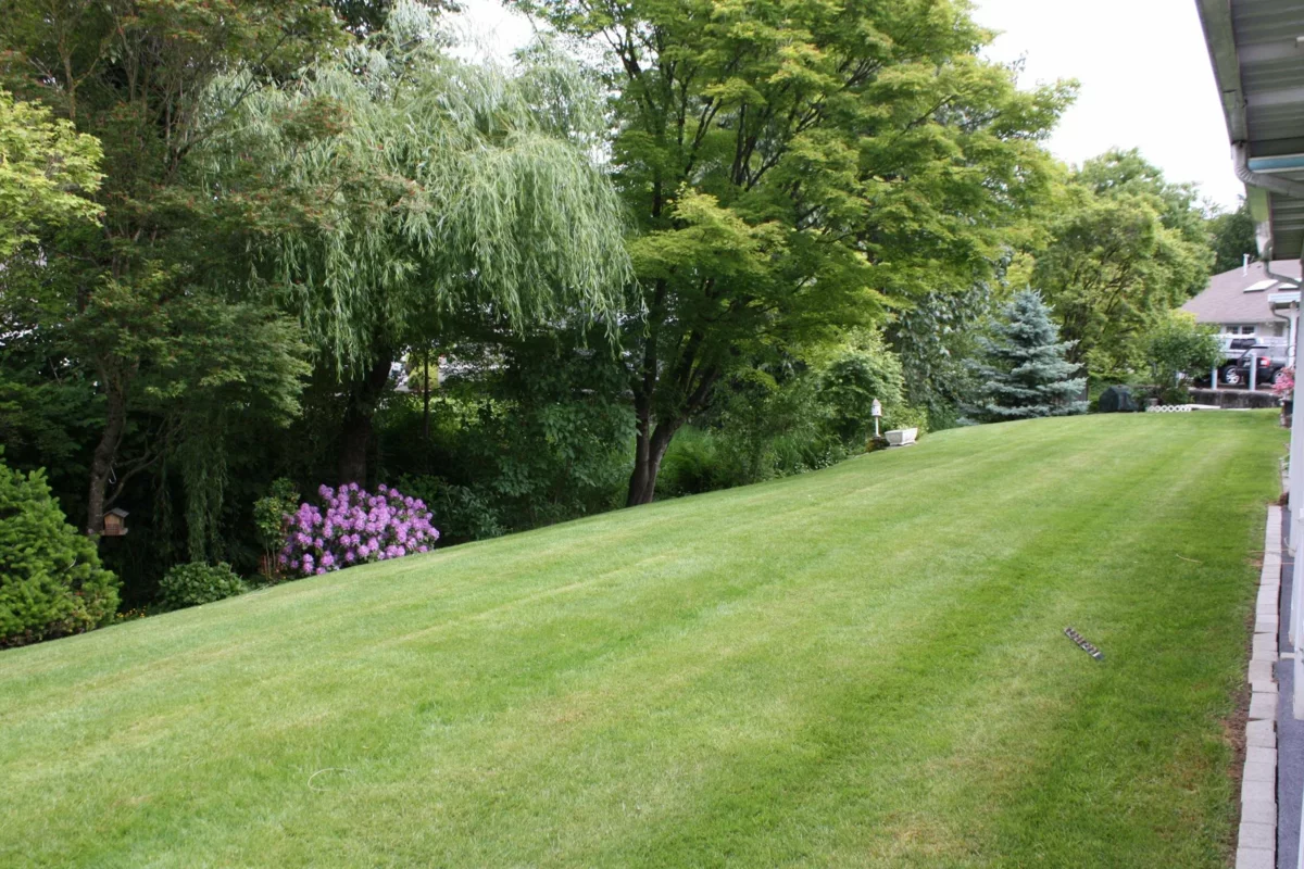 Outdoor Patio Photo of 31 45175 Wells Road, Chilliwack, BC