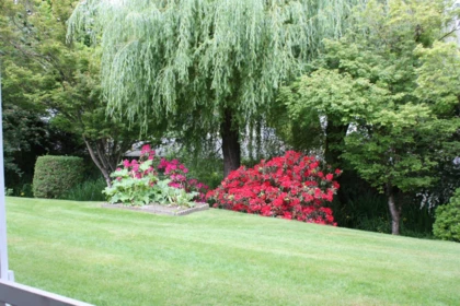 Outdoor Deck Photo of 31 45175 Wells Road, Chilliwack, BC