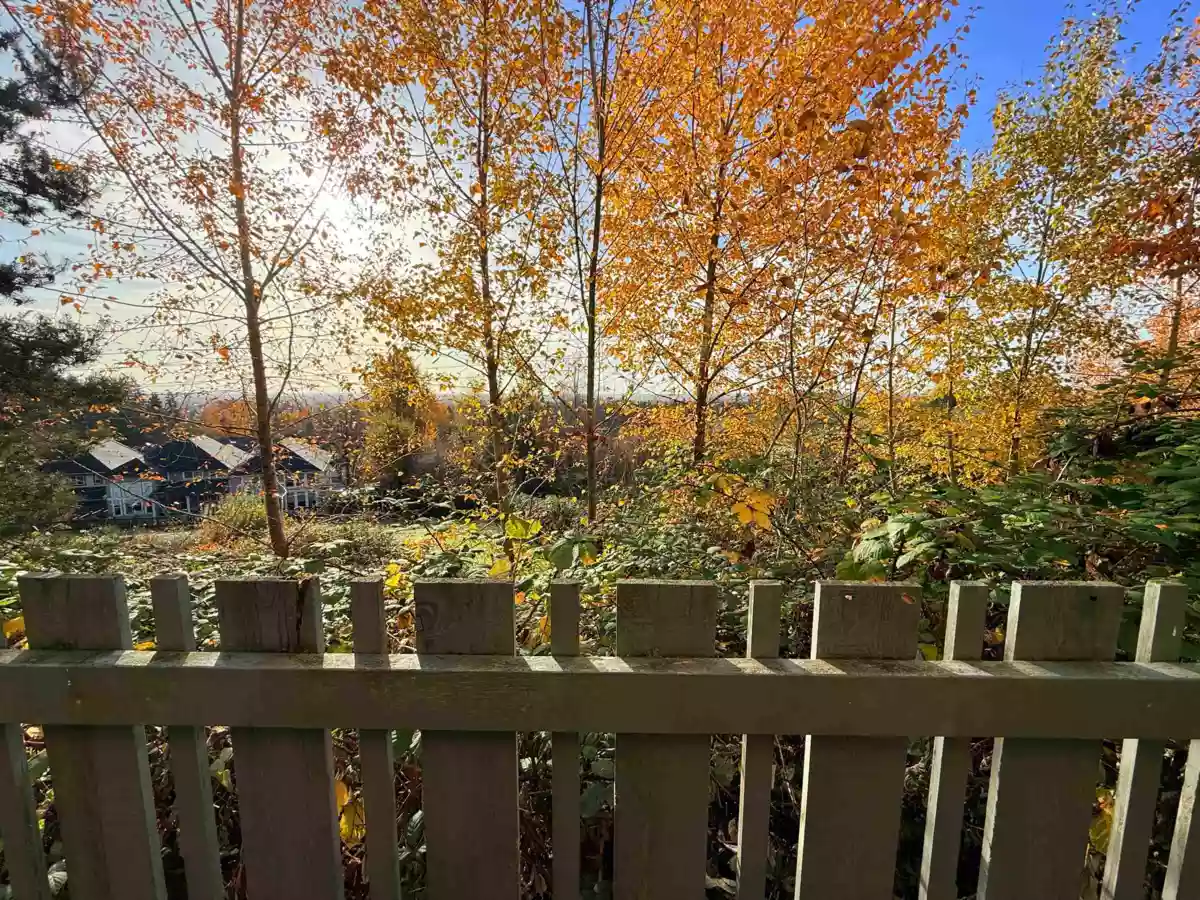 Garden / Landscaping Photo of 46 1295 Soball Street, Coquitlam, BC