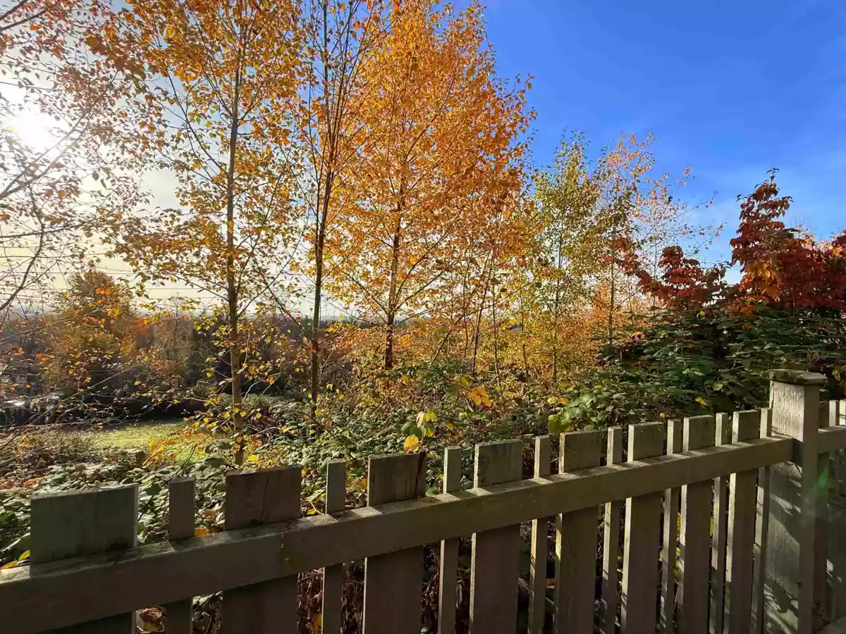 Swimming Pool Photo of 46 1295 Soball Street, Coquitlam, BC