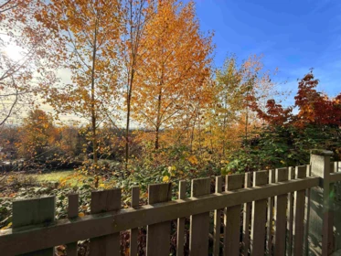 Hot Tub / Spa Photo of 46 1295 Soball Street, Coquitlam, BC