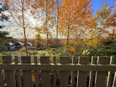 Swimming Pool Photo of 46 1295 Soball Street, Coquitlam, BC
