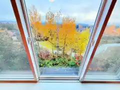 46 1295 Soball Street, Coquitlam, BC