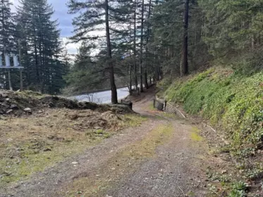 3099 Lougheed Highway, Agassiz, BC, Agassiz — Land for sale