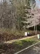 13395 237a Street, Maple Ridge, BC