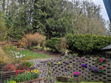 Neighborhood Park Photo Near 5102 219a Street, Langley, BC