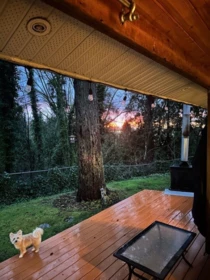 Hot Tub / Spa Photo of 10987 Collings Place, Delta, BC