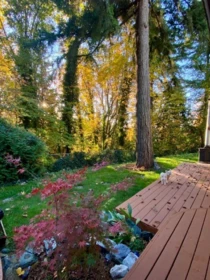 Outdoor Kitchen Photo of 10987 Collings Place, Delta, BC