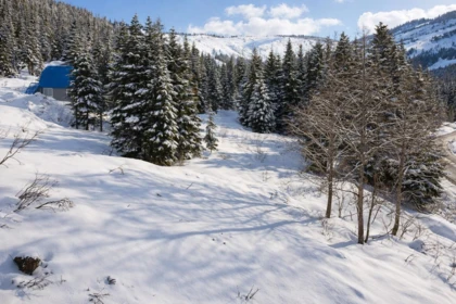 20418 Edelweiss Drive, Agassiz, BC, Agassiz — Land for sale