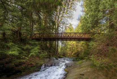 Playground / Recreational Area Near 12082 261 Street, Maple Ridge, BC