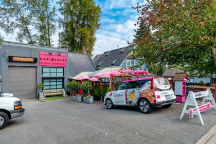 Aerial View of 2306 Spring Street, Port Moody, BC