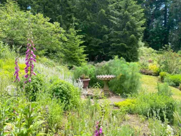 Street View Photo of 1330 Cottage Way, Galiano Island, BC