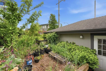 Outdoor Kitchen Photo of 203 W 6th Street, North Vancouver, BC