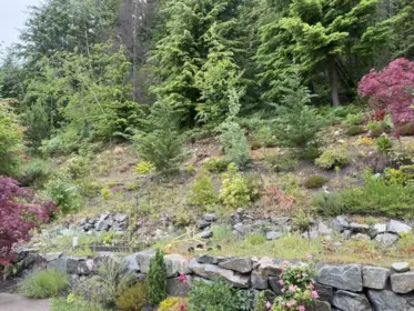 Aerial View of 2193 Crumpit Woods Drive, Squamish, BC