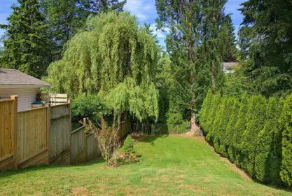 Neighborhood Park Photo Near 7957 Burdock Street, Mission, BC