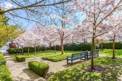 Outdoor Deck Photo of 92 6450 187 Street, Surrey, BC