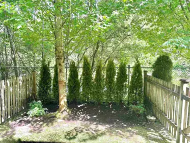 Staircase Photo of 70 20498 82 Avenue, Langley, BC